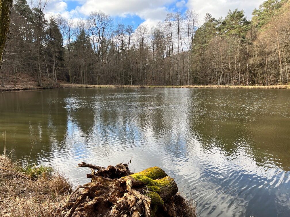 23-02-26 11-24-07 4347